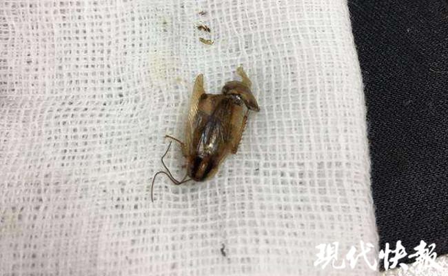 娱乐生活 第65页