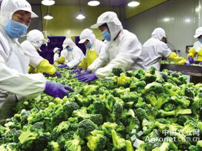 游戏专题 第16页